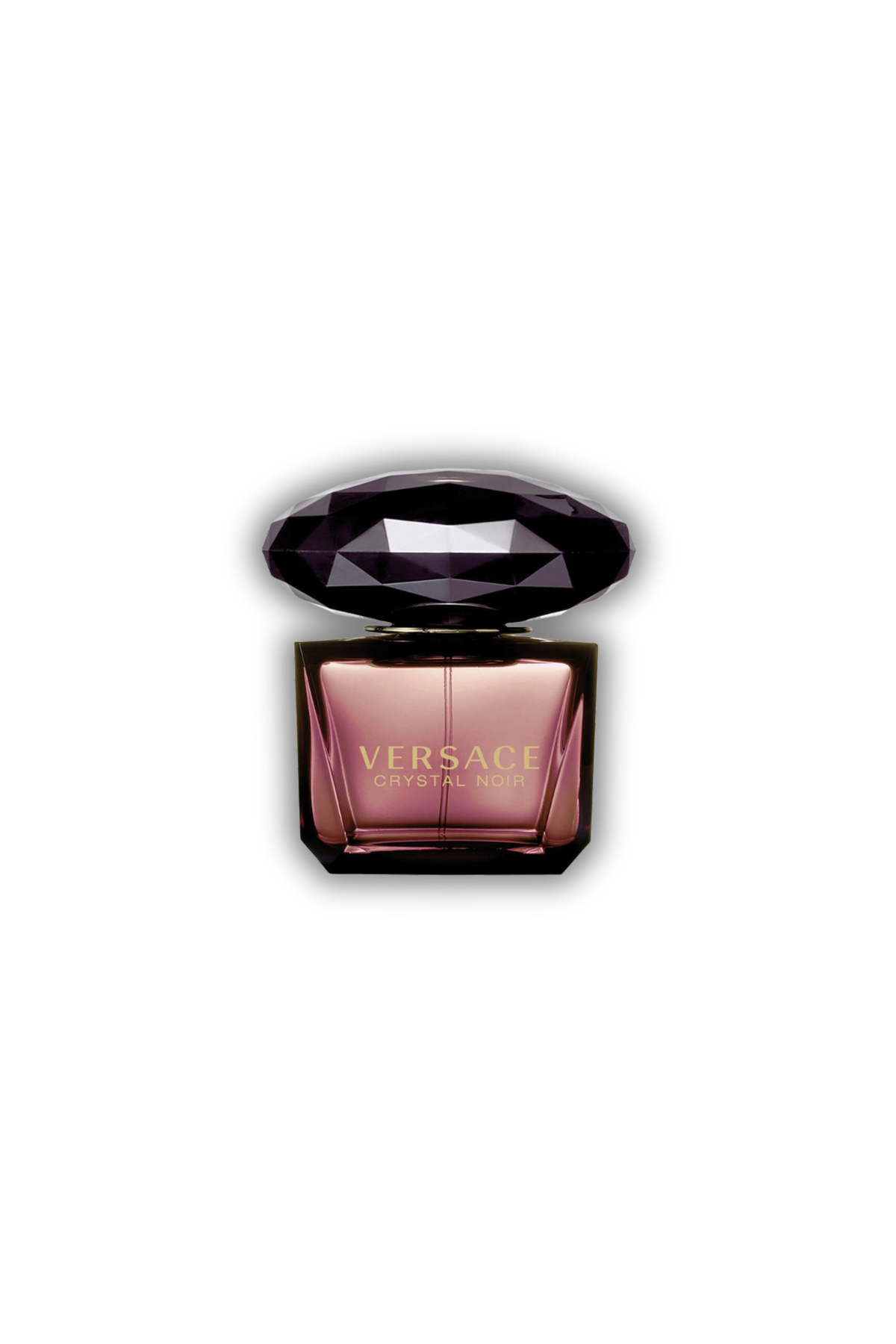 Versace Noir Perfumifpdf